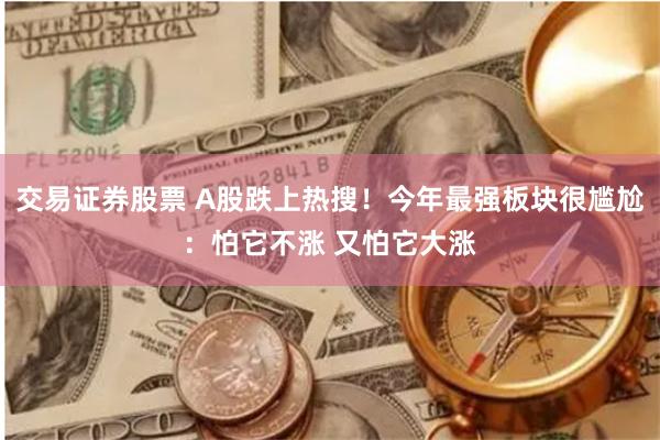 交易证券股票 A股跌上热搜！今年最强板块很尴尬：怕它不涨 又怕它大涨