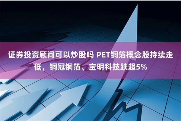 证券投资顾问可以炒股吗 PET铜箔概念股持续走低，铜冠铜箔、宝明科技跌超5%