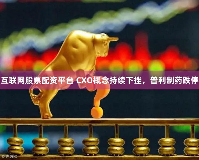 互联网股票配资平台 CXO概念持续下挫，普利制药跌停